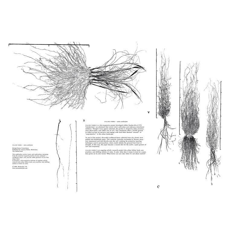 Lightroom (Anna – Fallow Forms 1.jpg)