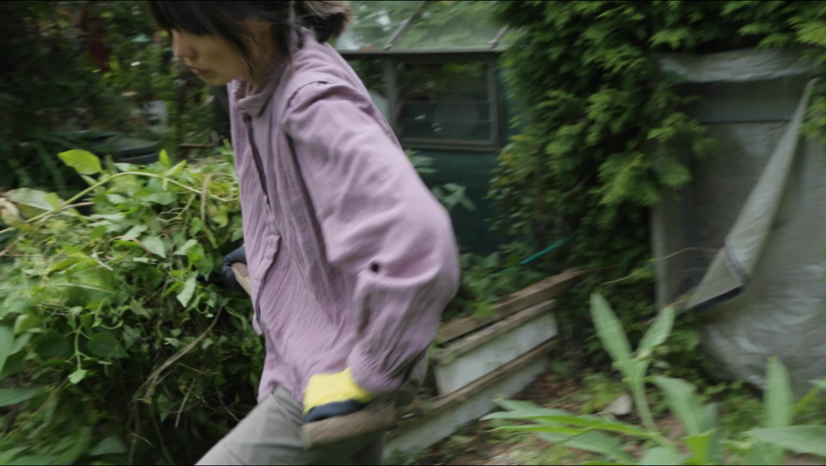 A gardener with many fields (2026)